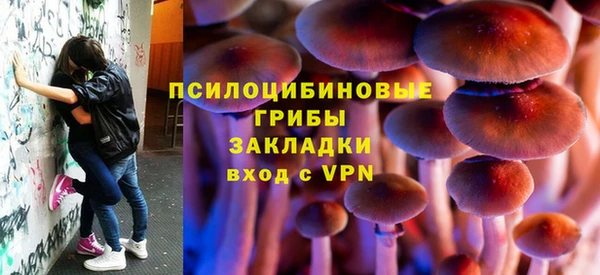 ешки Майский