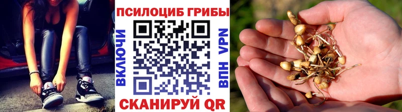где можно купить   Кумертау  нарко площадка официальный сайт  Галлюциногенные грибы мухоморы 