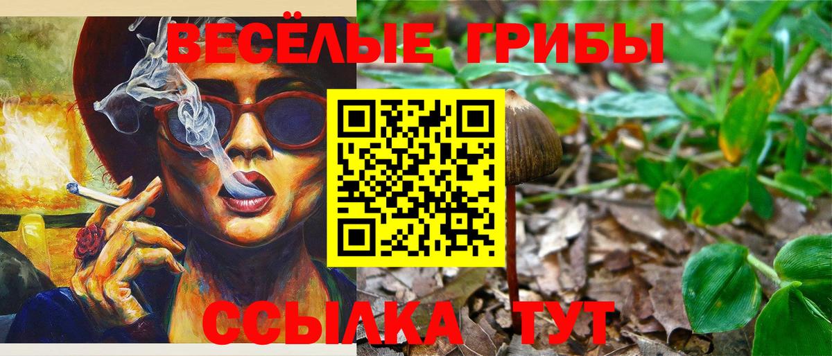 Псилоцибиновые грибы прущие грибы Кумертау