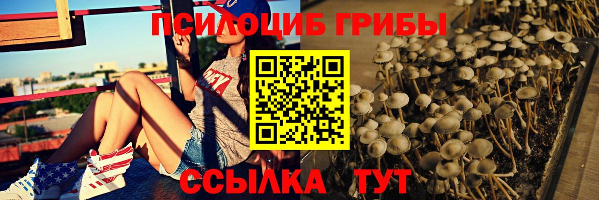 Кумертау  Псилоцибиновые грибы прущие грибы  Вход с VPN 
